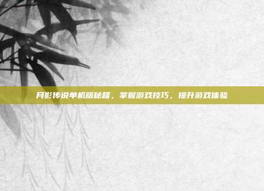 月影传说单机版秘籍，掌握游戏技巧，提升游戏体验