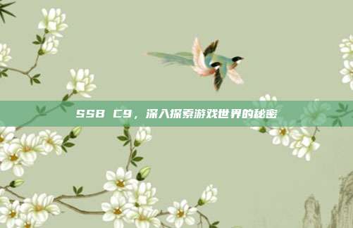 SSB C9，深入探索游戏世界的秘密
