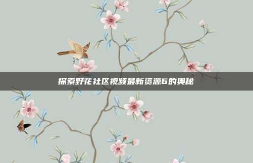 探索野花社区视频最新资源6的奥秘