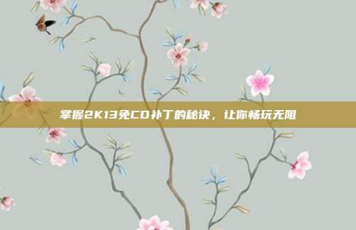 掌握2K13免CD补丁的秘诀，让你畅玩无阻