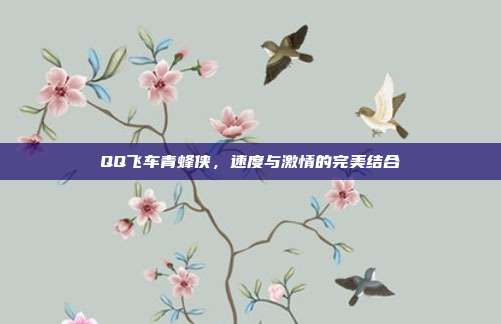 QQ飞车青蜂侠，速度与激情的完美结合