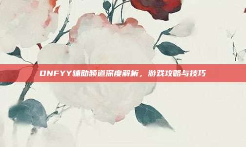 DNFYY辅助频道深度解析，游戏攻略与技巧