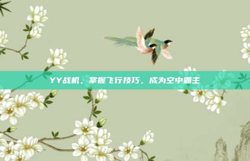 YY战机，掌握飞行技巧，成为空中霸主