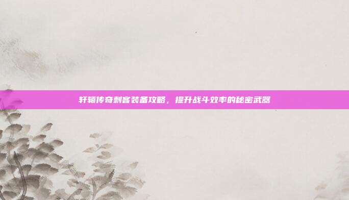 轩辕传奇刺客装备攻略，提升战斗效率的秘密武器