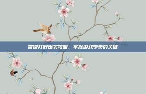 盲僧打野出装攻略,掌握游戏节奏的关键