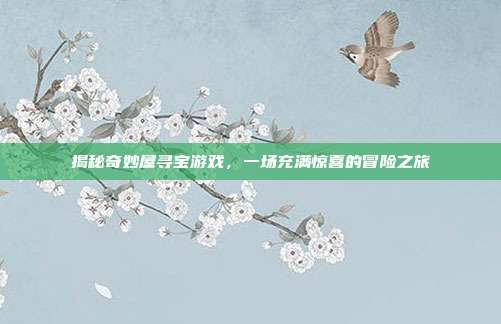 揭秘奇妙屋寻宝游戏，一场充满惊喜的冒险之旅