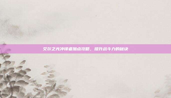 艾尔之光冲锋者加点攻略,提升战斗力的秘诀