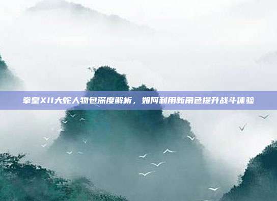 拳皇XII大蛇人物包深度解析,如何利用新角色提升战斗体验