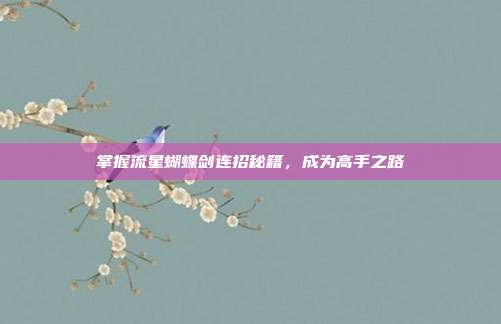 掌握流星蝴蝶剑连招秘籍，成为高手之路