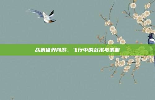 战机世界网游，飞行中的战术与策略