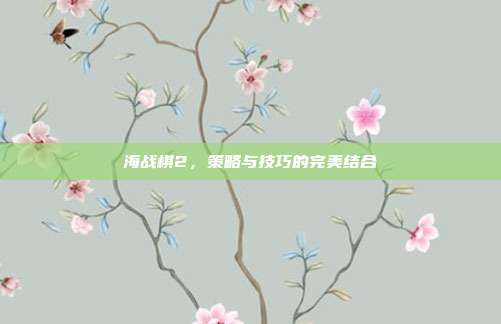 海战棋2，策略与技巧的完美结合