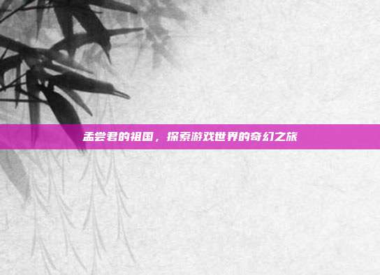 孟尝君的祖国，探索游戏世界的奇幻之旅