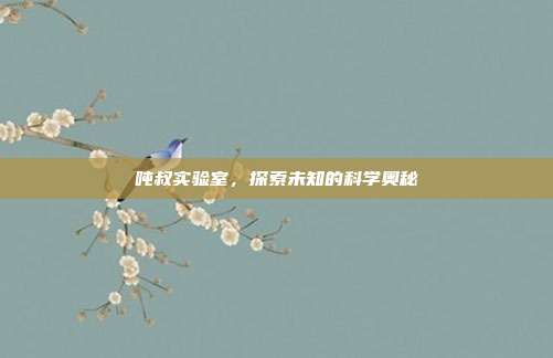 吨叔实验室，探索未知的科学奥秘