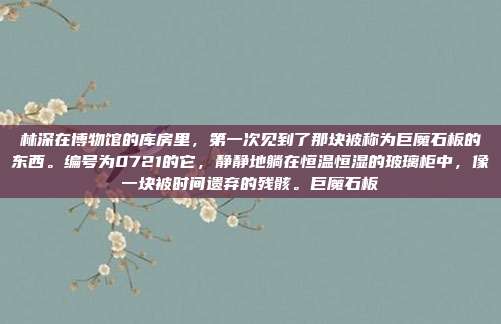 林深在博物馆的库房里，第一次见到了那块被称为巨魔石板的东西。编号为0721的它，静静地躺在恒温恒湿的玻璃柜中，像一块被时间遗弃的残骸。巨魔石板