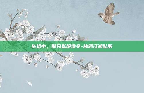 灰烬中，那只私服铁令-热邪江湖私服