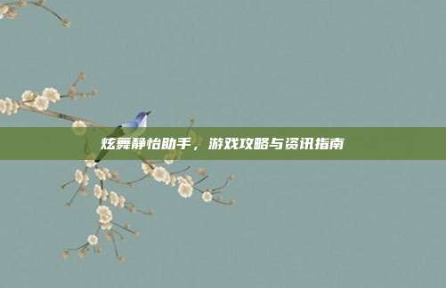 炫舞静怡助手，游戏攻略与资讯指南