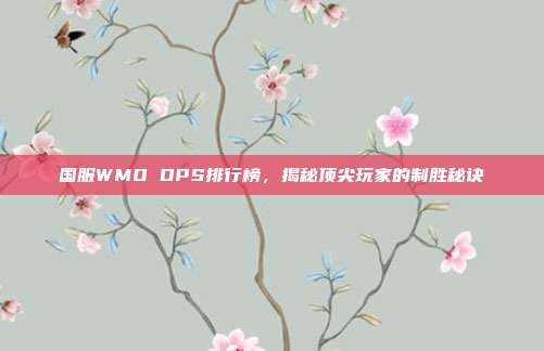 国服WMO DPS排行榜,揭秘顶尖玩家的制胜秘诀