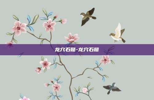 龙穴石髓-龙穴石髓