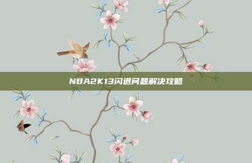 NBA2K13闪退问题解决攻略