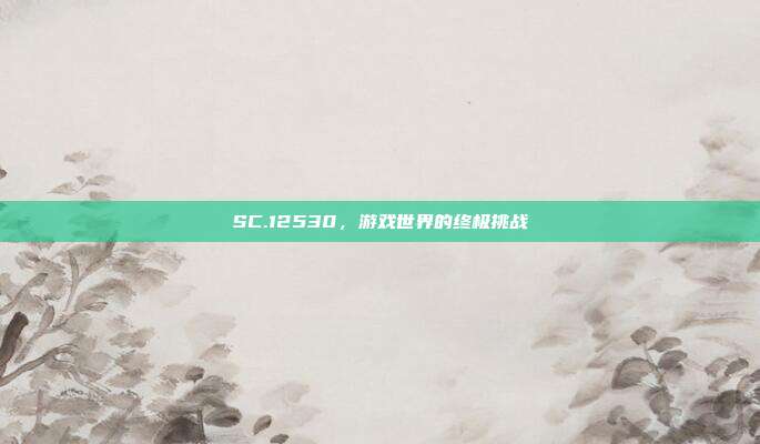 SC.12530，游戏世界的终极挑战