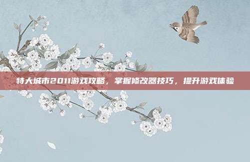 特大城市2011游戏攻略，掌握修改器技巧，提升游戏体验