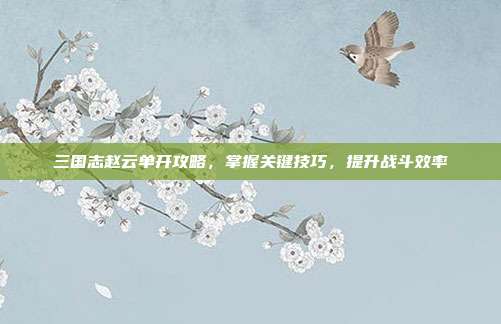 三国志赵云单开攻略,掌握关键技巧,提升战斗效率