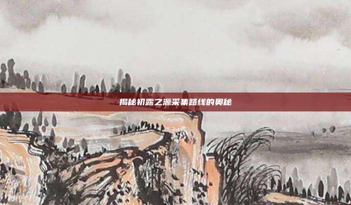 揭秘初露之源采集路线的奥秘