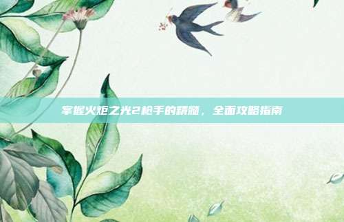 掌握火炬之光2枪手的精髓,全面攻略指南