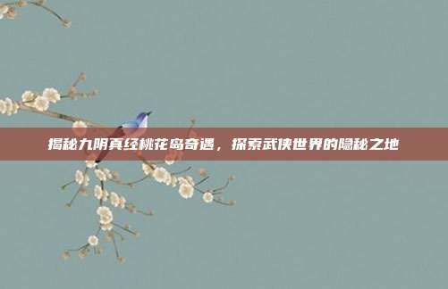 揭秘九阴真经桃花岛奇遇，探索武侠世界的隐秘之地