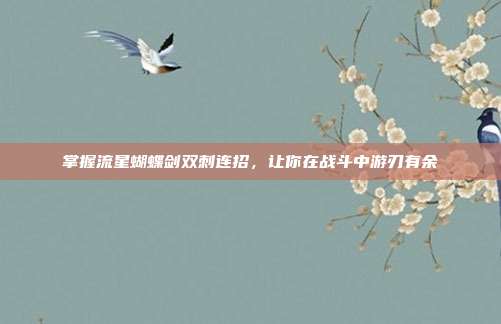 掌握流星蝴蝶剑双刺连招,让你在战斗中游刃有余