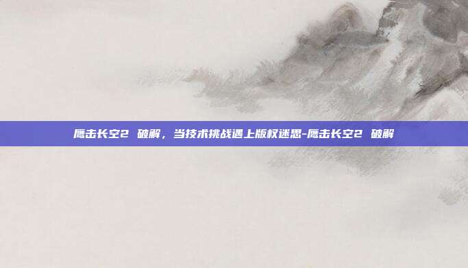 鹰击长空2 破解,当技术挑战遇上版权迷思-鹰击长空2 破解