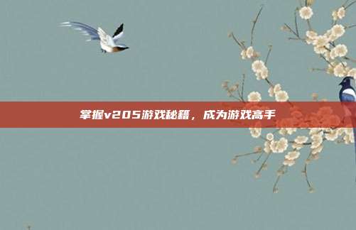 掌握v205游戏秘籍，成为游戏高手