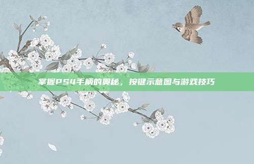 掌握PS4手柄的奥秘，按键示意图与游戏技巧