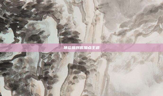 神泣爆刺客加点王道