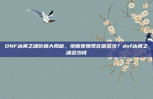 DNF冰翼之魂价格大揭秘，绝版宠物现在值多少？dnf冰翼之魂多少钱