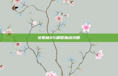 女机械85刷图加点攻略