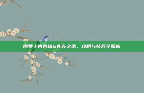 探索上古卷轴5扎克之塔,攻略与技巧全解析