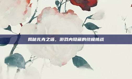 揭秘扎克之塔，游戏内隐藏的终极挑战