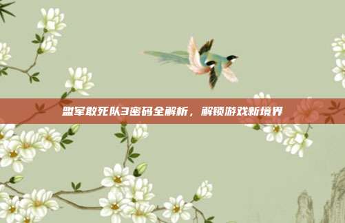 盟军敢死队3密码全解析，解锁游戏新境界