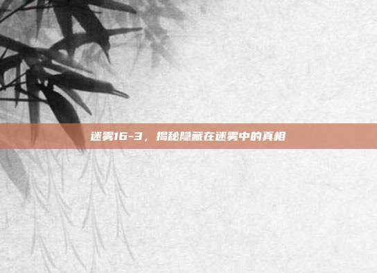 迷雾16-3,揭秘隐藏在迷雾中的真相