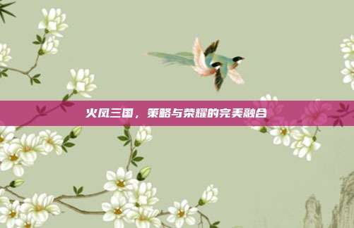 火凤三国,策略与荣耀的完美融合