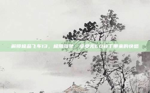 解锁极品飞车13,极限驾驶,享受无CD补丁带来的快感
