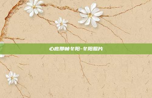 心底那帧冬阳-冬阳照片