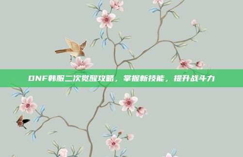 DNF韩服二次觉醒攻略,掌握新技能,提升战斗力