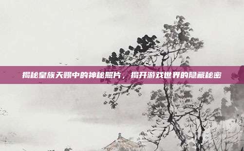揭秘皇族天赐中的神秘照片,揭开游戏世界的隐藏秘密