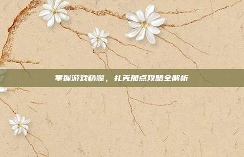掌握游戏精髓,扎克加点攻略全解析