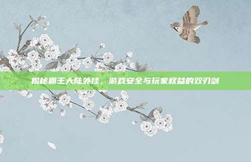揭秘霸王大陆外挂,游戏安全与玩家权益的双刃剑