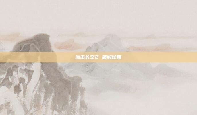 鹰击长空2 破解秘籍