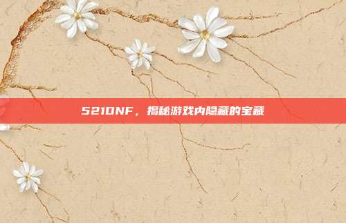 521DNF,揭秘游戏内隐藏的宝藏