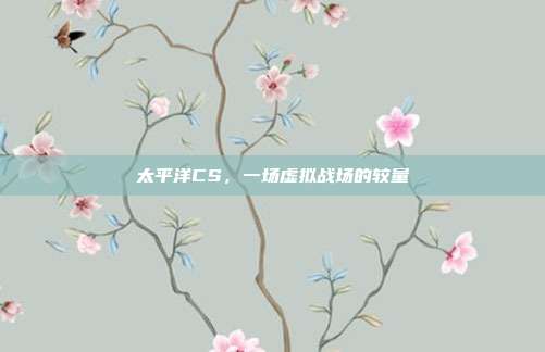 太平洋CS，一场虚拟战场的较量